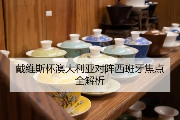 戴维斯杯澳大利亚对阵西班牙焦点全解析